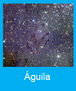 Aguila