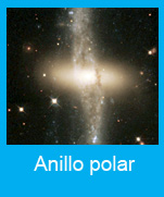 Anillo polar