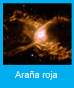 Aranna roja