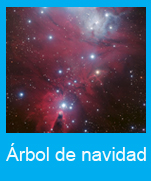 Arbol de navidad