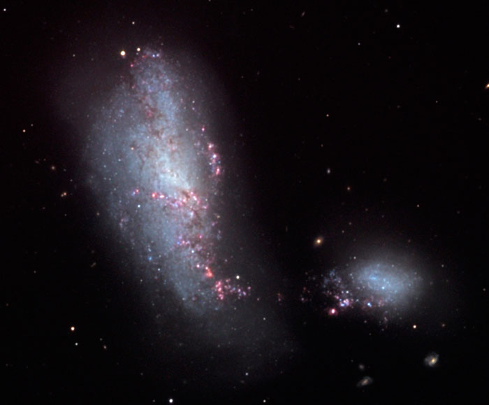 CAPULLO-NGC-4490 Cocoon Galaxy, NGC 4490