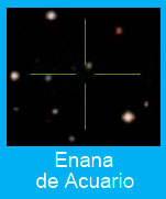 Enana-Acuario