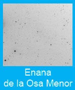 Enana-Osa-menor