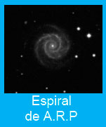 Espiral-de-ARP
