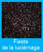 Fiesta-Luciernaga