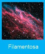 Filamentosa