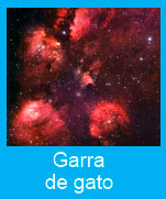 Garra-de-gato