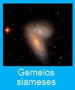 Gemelos-siameses