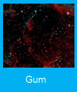 Gum