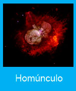 Homunculo