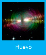 Huevo