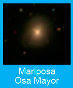 Mariposa-Osa-Mayor