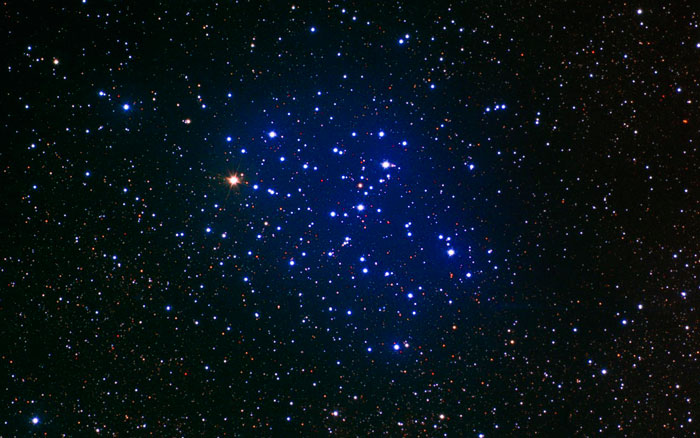 Mariposa-Scorpius-M6 Butterfly Cluster