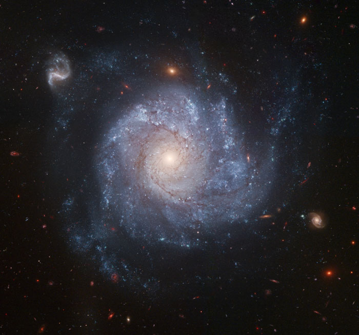 Pinwheel-Shaped Galaxy NGC 1309