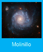 Molinillo