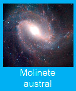 Molinte-austral