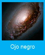 Ojo-negro