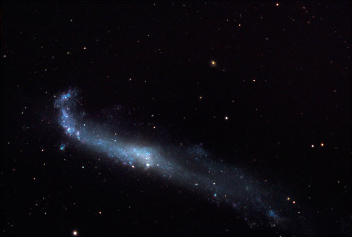 Crowbar Galaxy NGC 4656