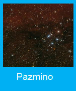 Pazmino