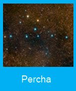 Percha