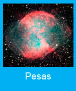 Pesas