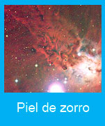 Piel-de-zorro