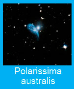 Polarissima-australis