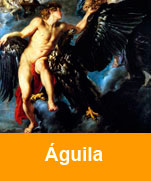 Aguila-con-acuario