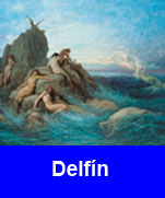 Delfin