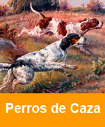 Perros-de-caza