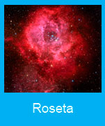 Roseta