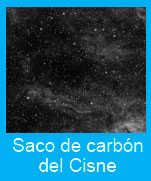 Saco-carbon-Cisne