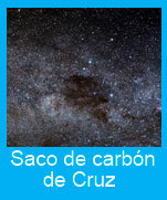 Saco-carbon-Cruz