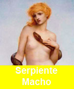 Serpiente-Macho