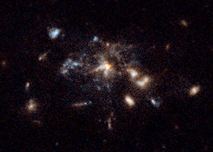 Spiderweb Galaxy MRC 1138-262