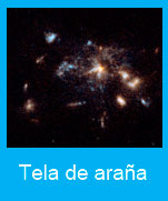 Tela-arana