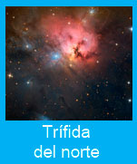 Trifida-norte