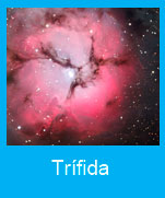 Trifida