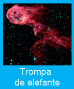 Trompa-elefante