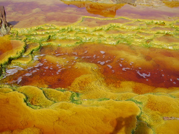 Zona habitable Río Tinto Extremófilos